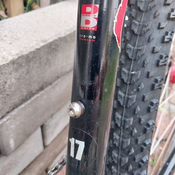 เสือภูเขา โครโม รูปที่ 15