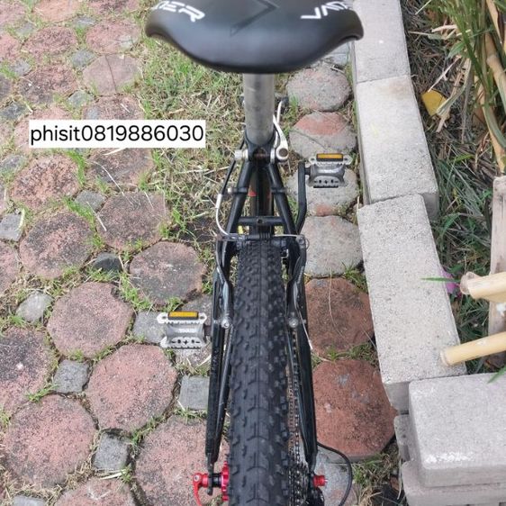 เสือภูเขา โครโม รูปที่ 13