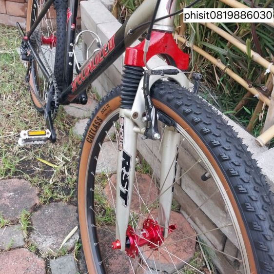 เสือภูเขา โครโม รูปที่ 7