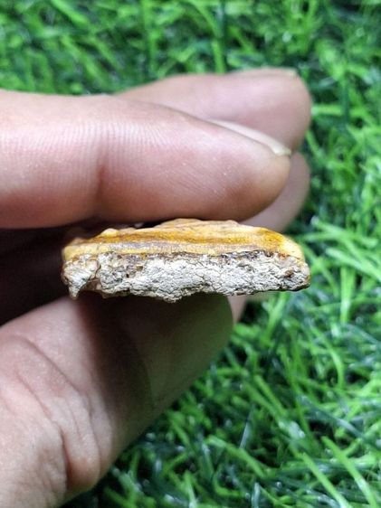 ขุนแผนเคลือบเก่า รูปที่ 3