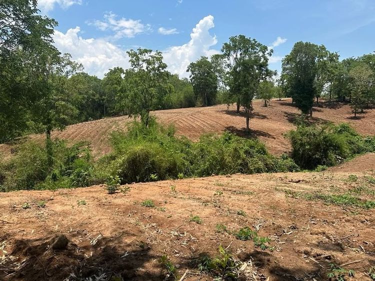 ขายที่ดินแปลงสวยบนดอยสูงสวยงาม ให้บรรยากาศท่ามกลางวิวภูเขาล้อมรอบ รูปที่ 4