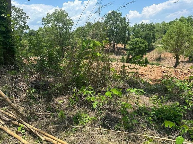 ขายที่ดินแปลงสวยบนดอยสูงสวยงาม ให้บรรยากาศท่ามกลางวิวภูเขาล้อมรอบ รูปที่ 3