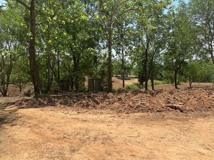 ขายที่ดินแปลงสวยบนดอยสูงสวยงาม ให้บรรยากาศท่ามกลางวิวภูเขาล้อมรอบ รูปที่ 2