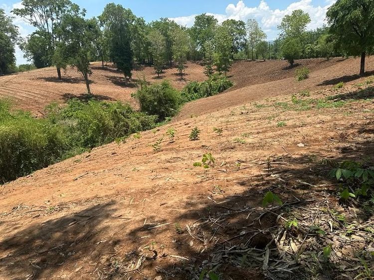 ขายที่ดินแปลงสวยบนดอยสูงสวยงาม ให้บรรยากาศท่ามกลางวิวภูเขาล้อมรอบ