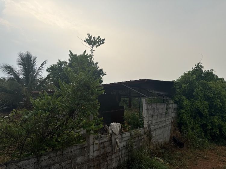 ใช่ ที่หัวทะเล ติดตลาด omไนท์ รูปที่ 4