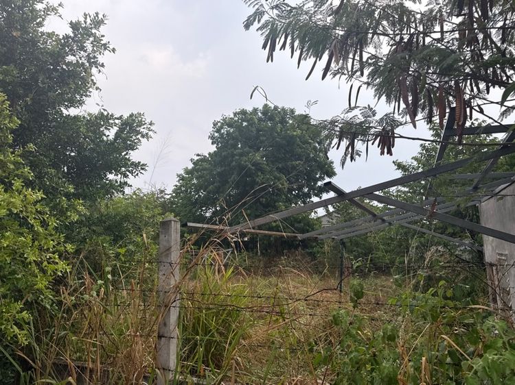 ใช่ ที่หัวทะเล ติดตลาด omไนท์ รูปที่ 3