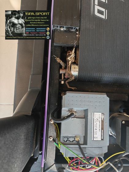 ช่างซ่อมลู่วิ่งไฟฟ้า​Vtech​ fitness​ Perfect​ run​ ช่างซ่อมลู่วิ่งไฟฟ้าบางคูวัด​ ซ่อมได้ทุกรุ่น​ ทุกยี่ห้อ​ ทุกอาการบริการถึงบ้านท่านทั่วไทย รูปที่ 12