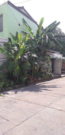 สร้างเสร็จก่อน 2010 ใช่ บ้านมือสองหมู่บ้านไดมอนด์ปาร์คซอย 47 รูปที่ 3