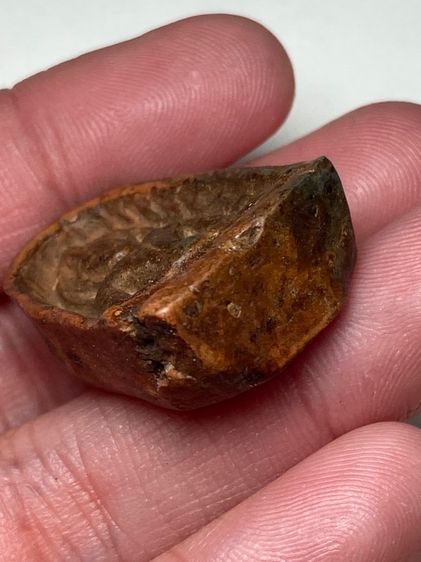 พระซุ้มกอเนื้อดิน รูปที่ 5