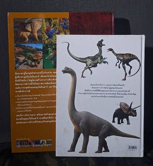 หนังสือไดโนเเสาร์ 4 สี ภาพสวยสมจริง รูปที่ 17