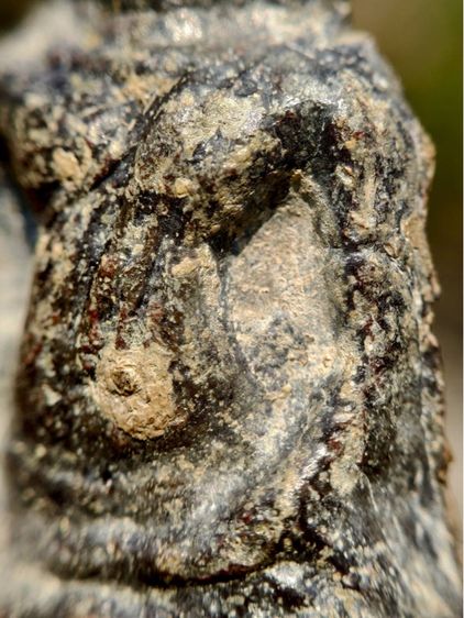 พระหูยาน กรุเก่า กรุวัดพระศรีรัตนมหาธาตุลพบุรี เนื้อชินสนิมแดง  รูปที่ 9