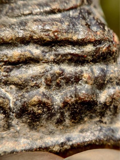 พระหูยาน กรุเก่า กรุวัดพระศรีรัตนมหาธาตุลพบุรี เนื้อชินสนิมแดง  รูปที่ 8