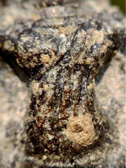 พระหูยาน กรุเก่า กรุวัดพระศรีรัตนมหาธาตุลพบุรี เนื้อชินสนิมแดง  รูปที่ 6