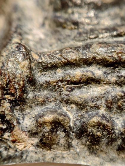 พระหูยาน กรุเก่า กรุวัดพระศรีรัตนมหาธาตุลพบุรี เนื้อชินสนิมแดง  รูปที่ 7