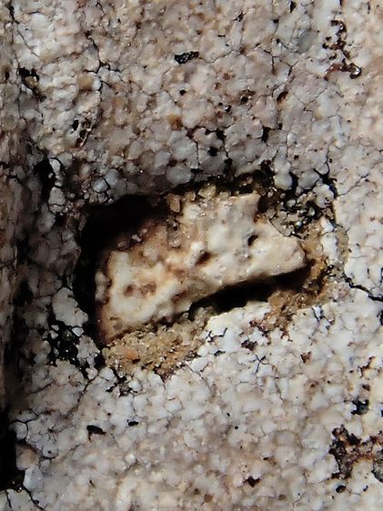 พระบ้านผม