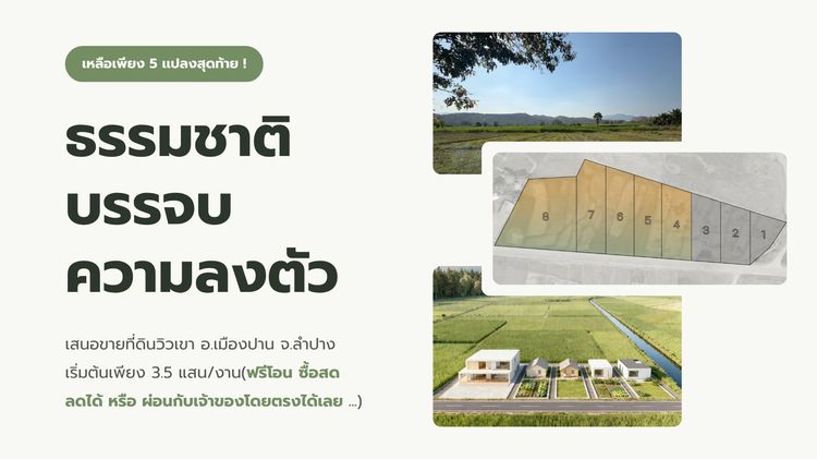 ขายที่ดิน 5 แปลงสุดท้ายจากทั้งหมด 8 แปลง วิวเขา อำเภอเมืองปาน จังหวัดลำปาง - ผ่อนตรงกับเจ้าของได้ 🏔️🌲