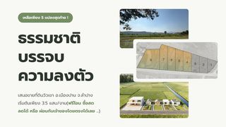 ขายที่ดิน 5 แปลงสุดท้ายจากทั้งหมด 8 แปลง วิวเขา อำเภอเมืองปาน จังหวัดลำปาง - ผ่อนตรงกับเจ้าของได้ 🏔️🌲