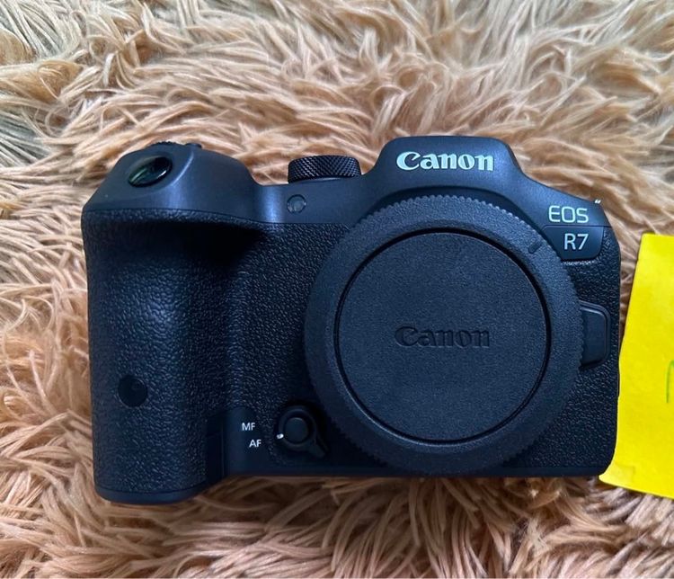 Canon eos R7 new (body)