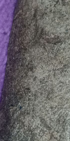 พระเนื้อดินเก่า หลวงพ่อโตวัดกระทิง รูปที่ 9