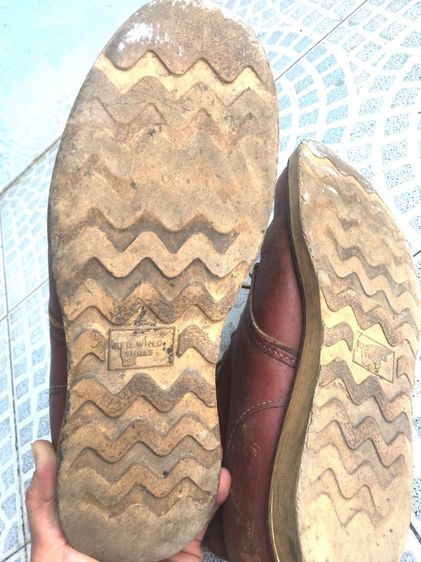 เรดวิง 8166 รูปที่ 5