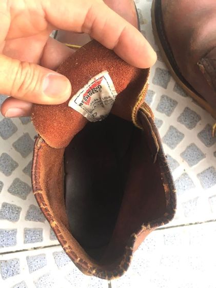 เรดวิง 8166 รูปที่ 7