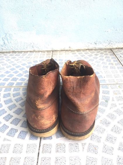 เรดวิง 8166 รูปที่ 2