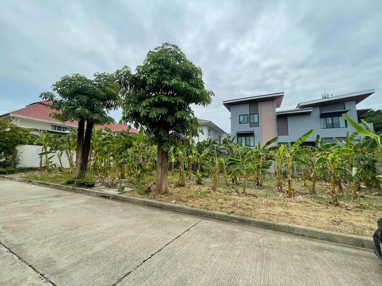 ขายที่ดินเปล่า หมู่บ้าน Neo-City Donmuang รูปที่ 3