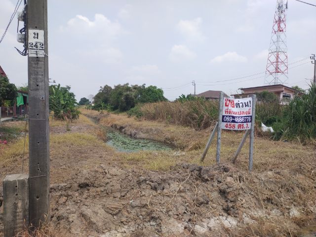 ใช่ ขายที่ดินเปล่าติดถนนมิตรไมตรีหนองจอก รูปที่ 2