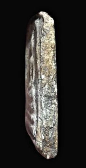 พระสมเด็จวัดระฆัง พระบ้าน พระสะสม รูปที่ 4