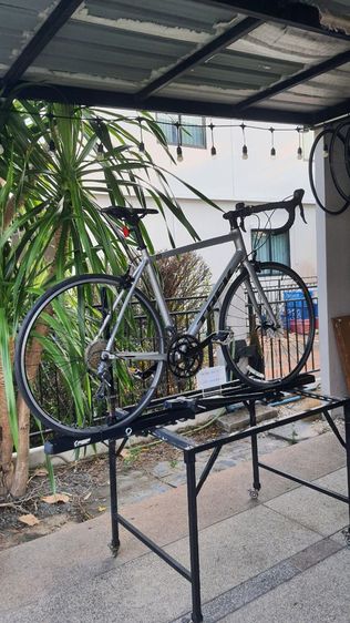 TREK 01
จักรยาน