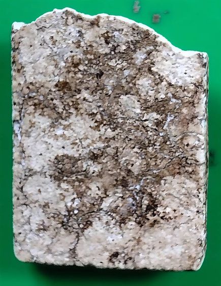 พระสมเด็จวัดระฆังบางขุนพรหม วัดเกศไชโย หลวงปู่ภู หลวงปู่นาค หลวงปู่โต๊ะ รูปที่ 15