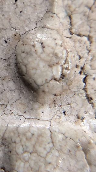 พระสมเด็จวัดระฆังบางขุนพรหม วัดเกศไชโย หลวงปู่ภู หลวงปู่นาค หลวงปู่โต๊ะ รูปที่ 4