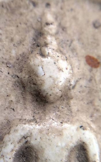 พระสมเด็จวัดระฆังบางขุนพรหม วัดเกศไชโย หลวงปู่ภู หลวงปู่นาค หลวงปู่โต๊ะ