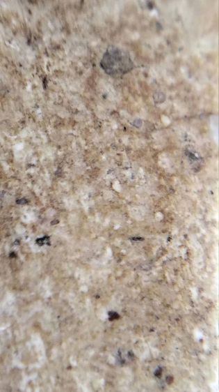 พระสมเด็จวัดระฆังบางขุนพรหม วัดเกศไชโย หลวงปู่ภู หลวงปู่นาค หลวงปู่โต๊ะ รูปที่ 11