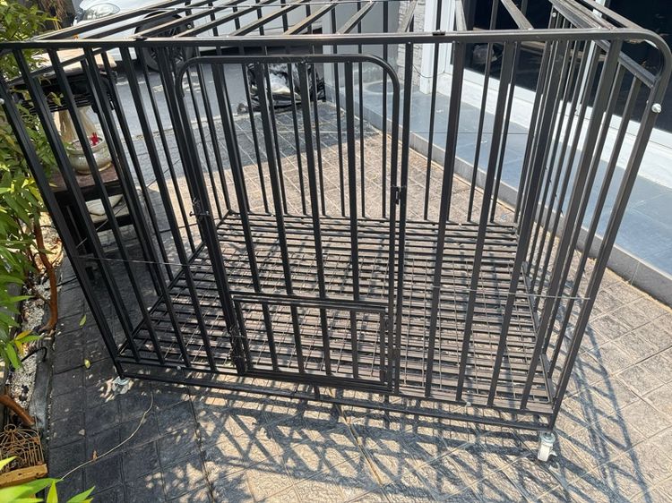 กรง คอกและประตู กรงสัตว์เลี้ยง