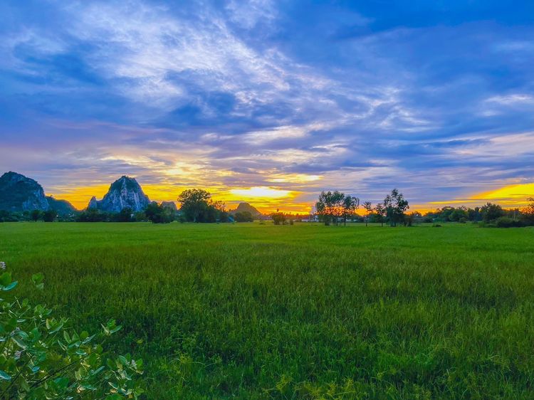 มีบางส่วน 2020 ขายบ้านเดี่ยว หน้าบ้านโล่งกว้างเห็นวิวธรรมชาติแบบพาโนราม่า ห่างตัวเมืองราชบุรีไม่ถึง 10 กม. รูปที่ 4