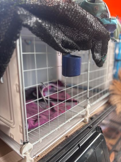 กล่องสัตว์เลี้ยง กรงน้องหมา น้องแมว รูปที่ 2