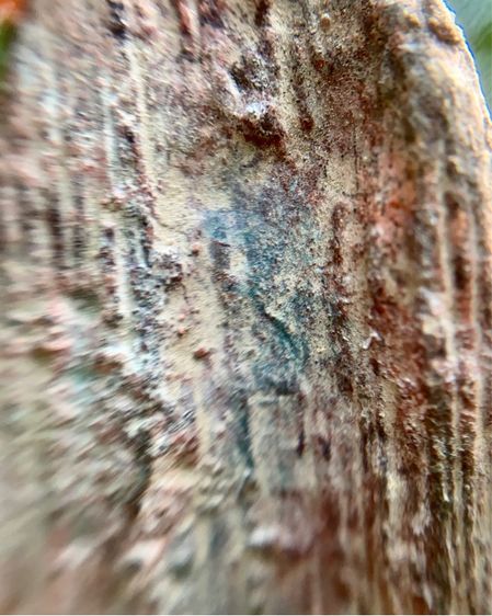 พระร่วงหลังรางปืน  รูปที่ 15