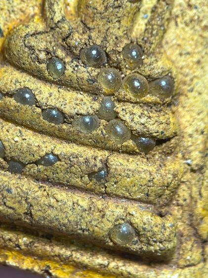 พระสมเด็จพิมพ์ปกโพธิ์อกครุฑหลังทรัพย์แสนล้านโรยเม็ดพระธาตุ รูปที่ 8