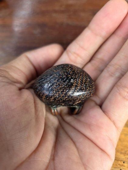 เบี้ยแก้ รูปที่ 2