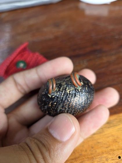 เบี้ยแก้ รูปที่ 7