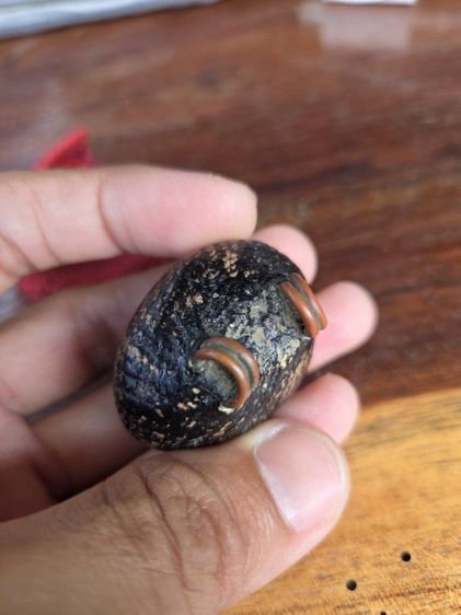 เบี้ยแก้ รูปที่ 8