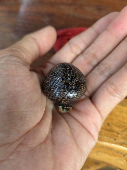 เบี้ยแก้ รูปที่ 4