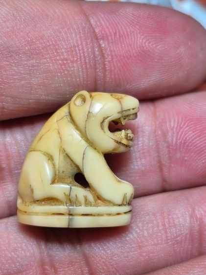 เสือหลวงพ่อปาน วัดบางเหี้ย รูปที่ 4