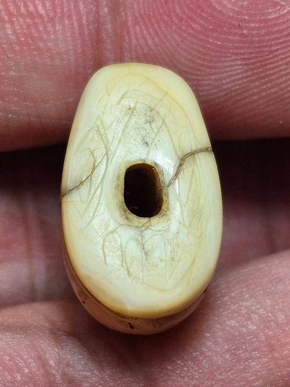 เสือหลวงพ่อปาน วัดบางเหี้ย รูปที่ 5