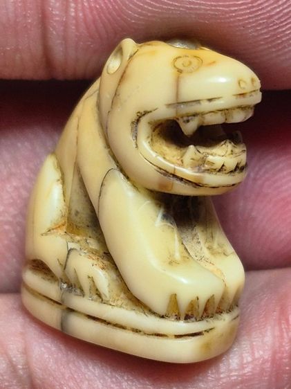 เสือหลวงพ่อปาน วัดบางเหี้ย