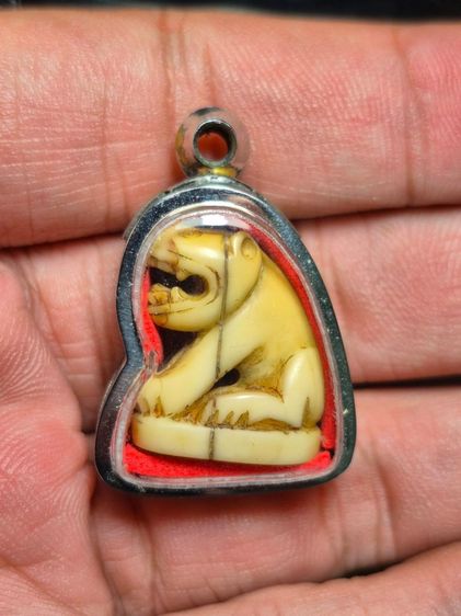 เสือหลวงพ่อปาน วัดบางเหี้ย รูปที่ 6