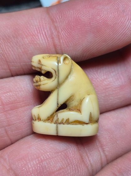 เสือหลวงพ่อปาน วัดบางเหี้ย รูปที่ 3