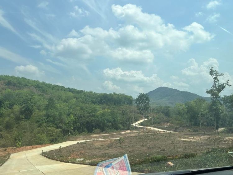 ใช่ ที่ดินแบ่งขาย 200ไร่ วิวภูเขา น้ำไม่ท่วม รูปที่ 2