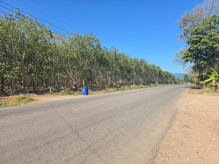 ขายสวนยางผืนใหญ่ ทำเลดี ในตำบลทุ่งควายกิน อ.แกลง จ.ระยอง